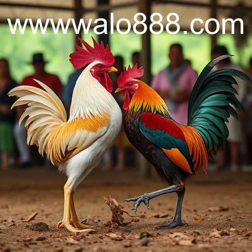 Exploring the World of Sabong Games: A Comprehensive Look into WALO88